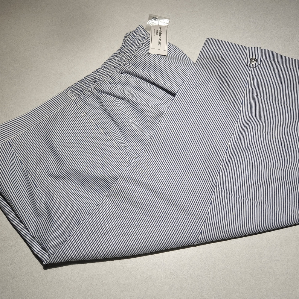 Alfred dunner pants